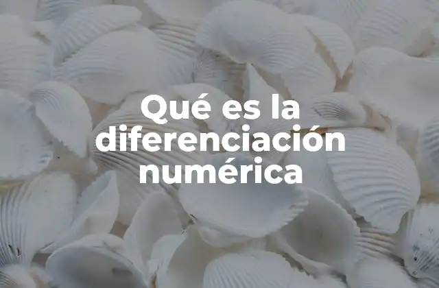 Qué es la Diferenciación Numérica 2 Fundamentos matemáticos de la estimación de derivadas