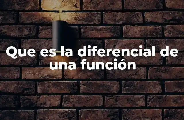 Que es la Diferencial de una Función