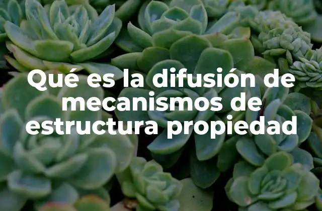 Qué es la Difusión de Mecanismos de Estructura Propiedad
