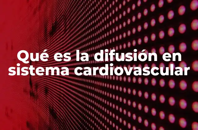 Qué es la Difusión en Sistema Cardiovascular 2 El papel de los capilares en el intercambio de sustancias