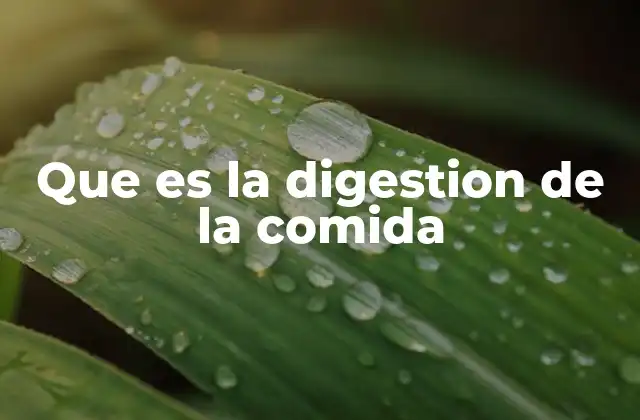 Que es la Digestion de la Comida