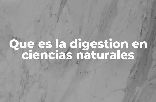 Que es la Digestion en Ciencias Naturales 2 La importancia del sistema digestivo en la vida humana