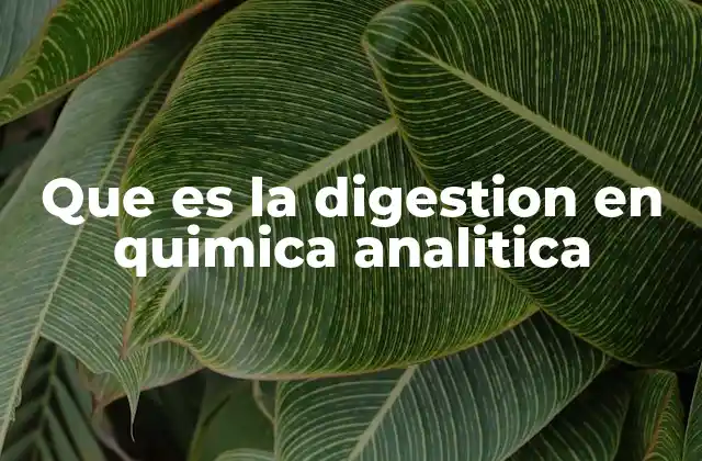 Que es la Digestion en Quimica Analitica 2 La importancia de preparar muestras en química analítica