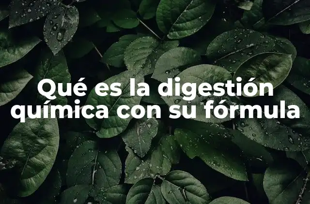 Qué es la Digestión Química con Su Fórmula
