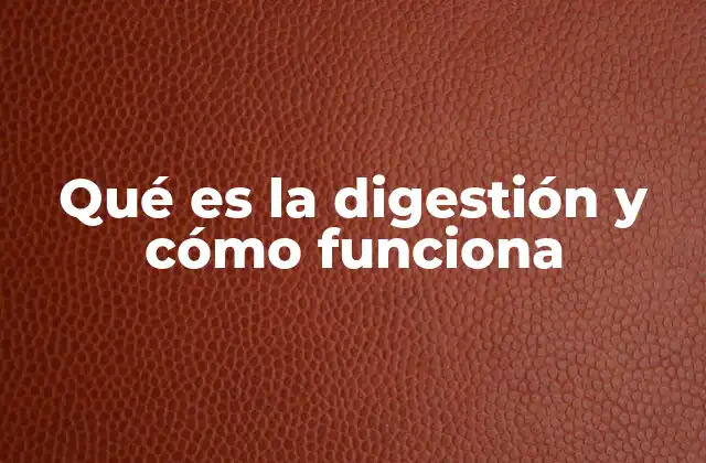 Qué es la Digestión y Cómo Funciona