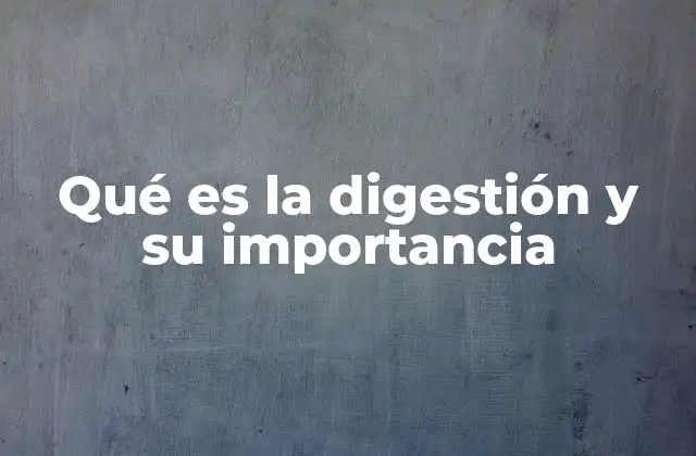 Qué es la Digestión y Su Importancia
