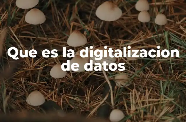 Que es la Digitalizacion de Datos