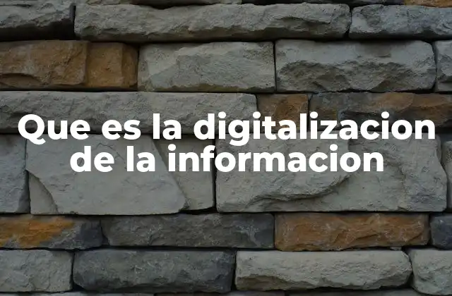 Que es la Digitalizacion de la Informacion