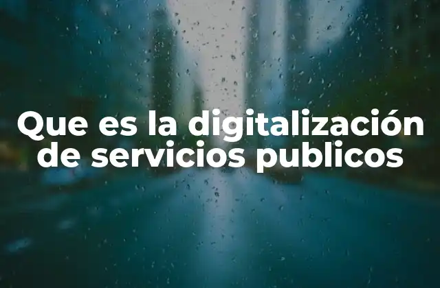 Que es la Digitalización de Servicios Publicos
