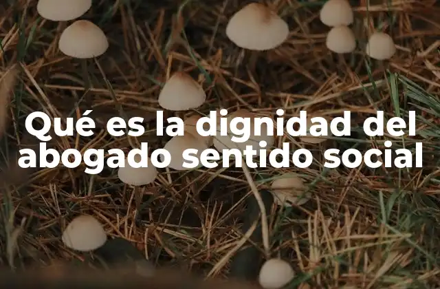 Qué es la Dignidad Del Abogado Sentido Social