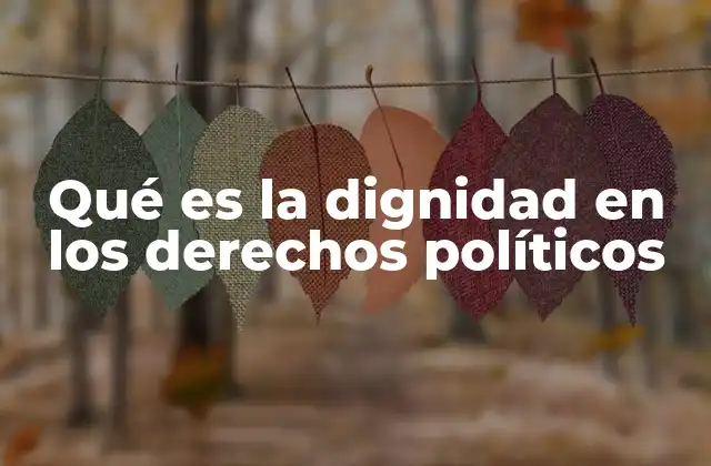 El rol de la dignidad en la participación ciudadana