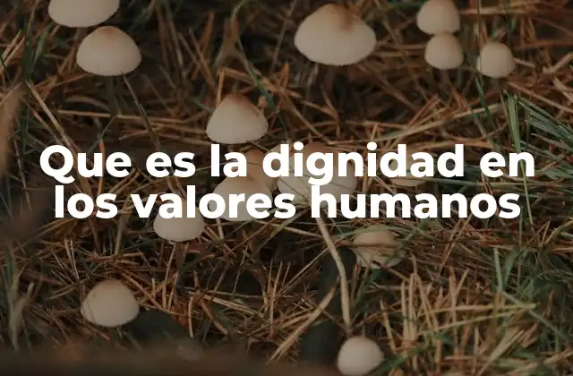 Que es la Dignidad en los Valores Humanos