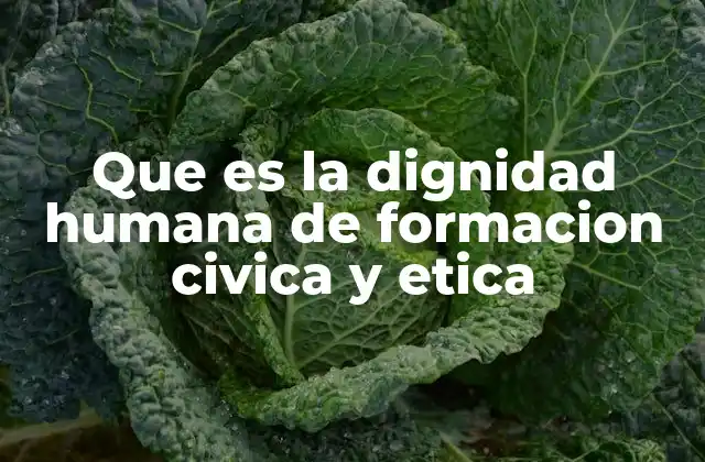 Que es la Dignidad Humana de Formacion Civica y Etica