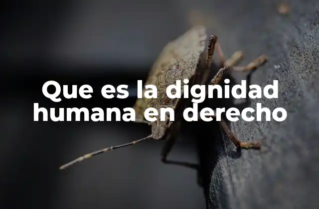 Que es la Dignidad Humana en Derecho