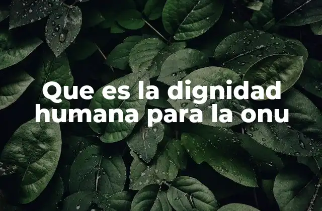 Que es la Dignidad Humana para la Onu