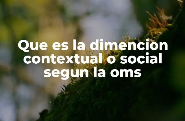 Que es la Dimencion Contextual o Social Segun la Oms