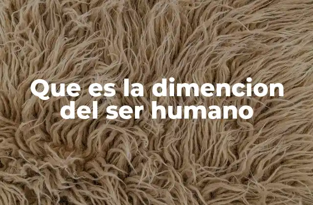 Que es la Dimencion Del Ser Humano