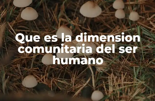 Que es la Dimension Comunitaria Del Ser Humano