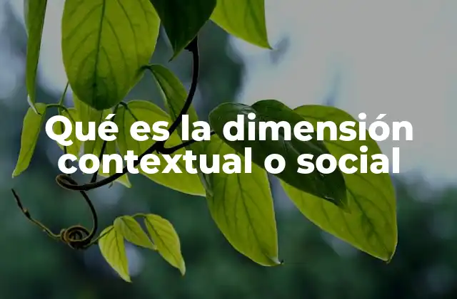 La importancia del entorno social en el desarrollo humano