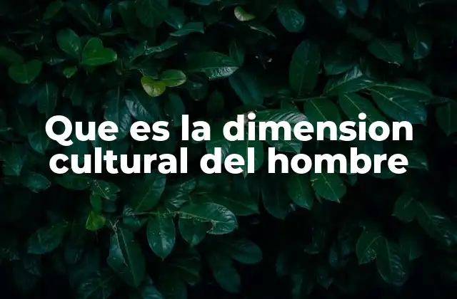 Que es la Dimension Cultural Del Hombre