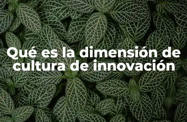 Qué es la Dimensión de Cultura de Innovación