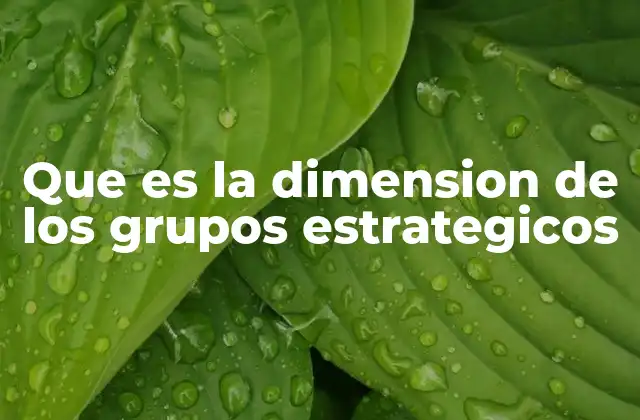 Que es la Dimension de los Grupos Estrategicos