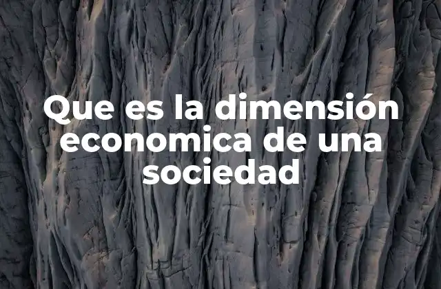 Que es la Dimensión Economica de una Sociedad