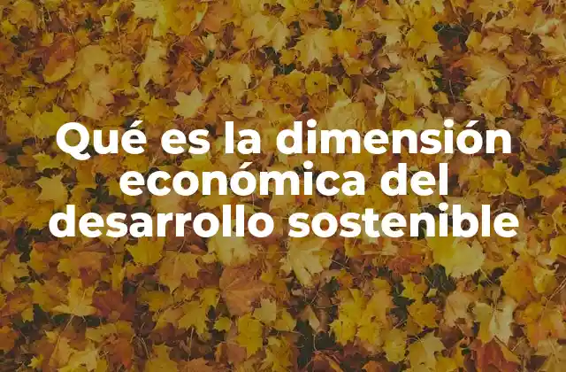 Qué es la Dimensión Económica Del Desarrollo Sostenible