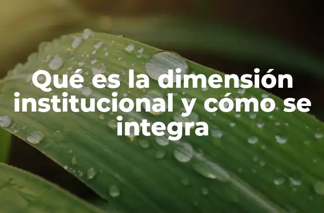 Qué es la Dimensión Institucional y Cómo Se Integra