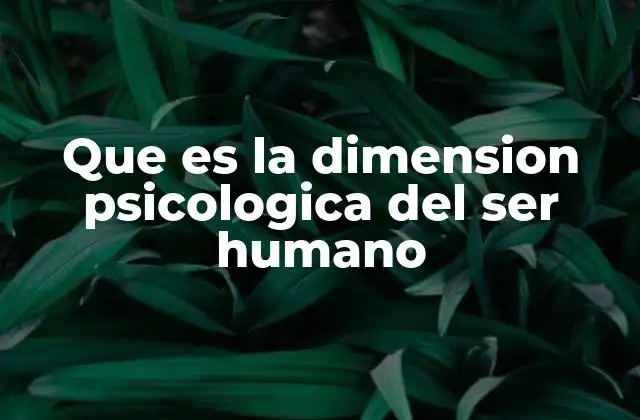 Que es la Dimension Psicologica Del Ser Humano 2 El complejo equilibrio entre mente y entorno