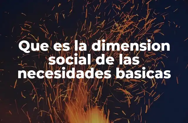Que es la Dimension Social de las Necesidades Basicas