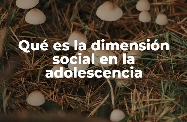 Qué es la Dimensión Social en la Adolescencia