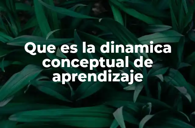 Que es la Dinamica Conceptual de Aprendizaje