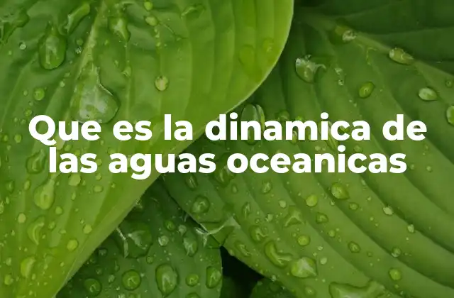 Que es la Dinamica de las Aguas Oceanicas