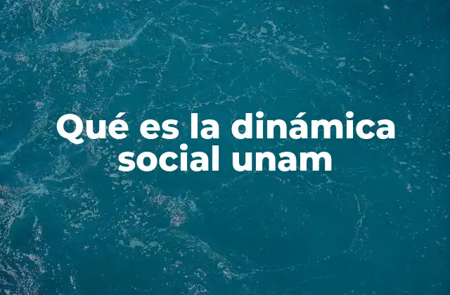 Qué es la Dinámica Social Unam
