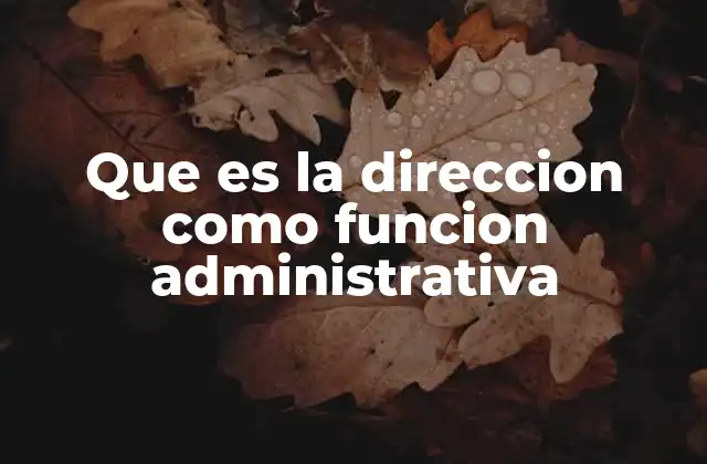 Que es la Direccion como Funcion Administrativa