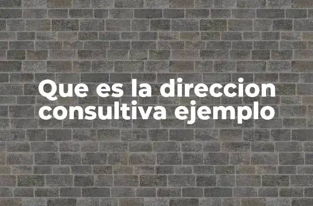 Que es la Direccion Consultiva Ejemplo