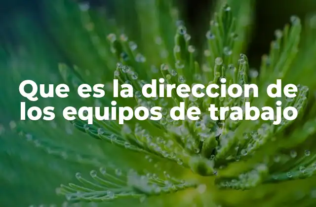 Que es la Direccion de los Equipos de Trabajo