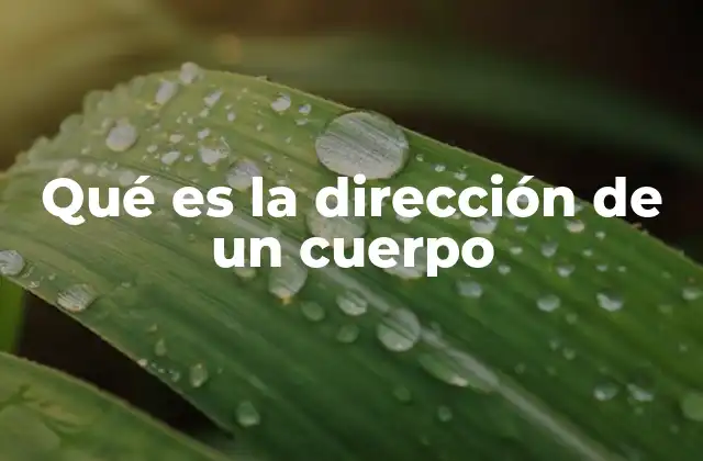 Qué es la Dirección de un Cuerpo