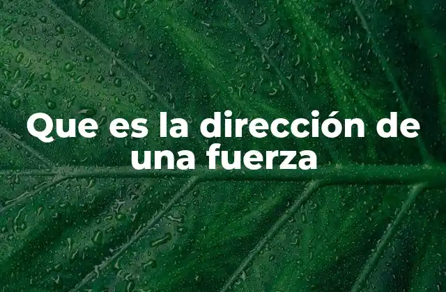 Que es la Dirección de una Fuerza