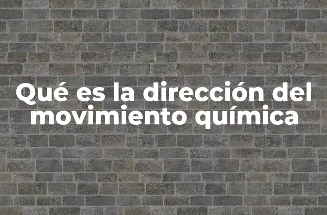 Qué es la Dirección Del Movimiento Química