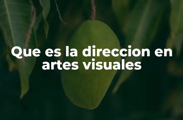 Que es la Direccion en Artes Visuales