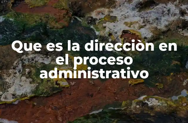 Que es la Direcciòn en el Proceso Administrativo