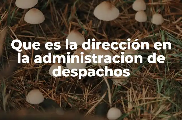 Que es la Dirección en la Administracion de Despachos
