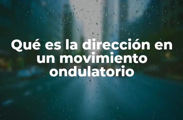 Qué es la Dirección en un Movimiento Ondulatorio