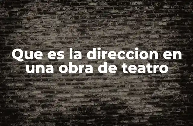 Que es la Direccion en una Obra de Teatro