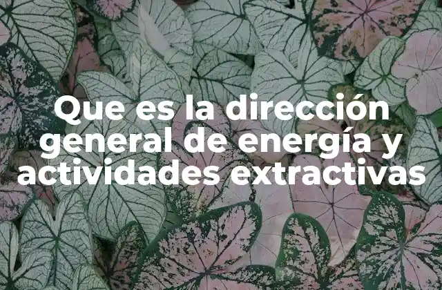 Que es la Dirección General de Energía y Actividades Extractivas