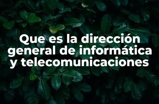 Que es la Dirección General de Informática y Telecomunicaciones