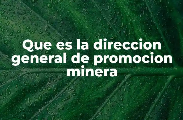 Que es la Direccion General de Promocion Minera