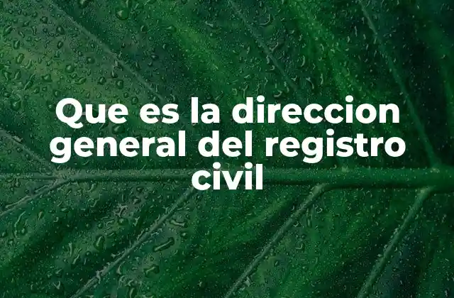 Que es la Direccion General Del Registro Civil